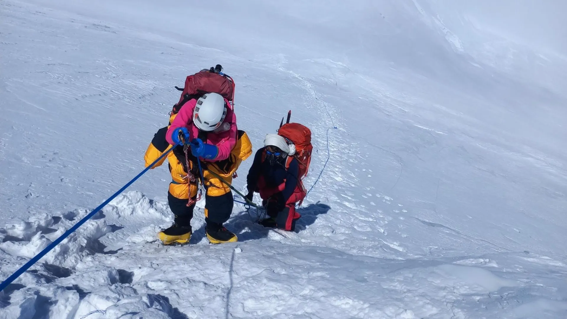 Royal Orchid Treks & Expeditions Pvt. Ltd